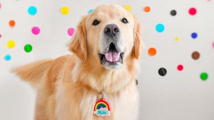 Se convirtió en la motivación para trabajar en clase.