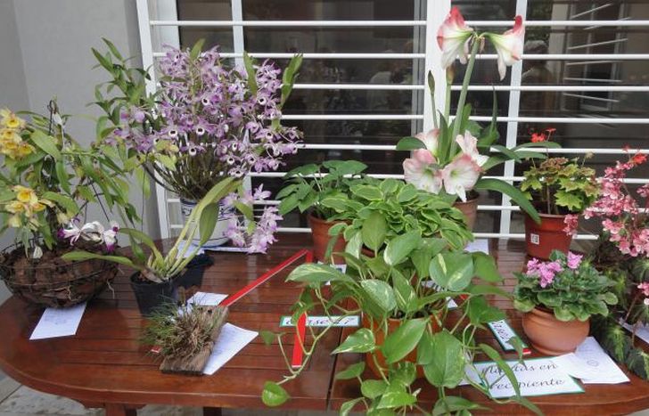 La jardinería es un contacto con sus generaciones pasadas.