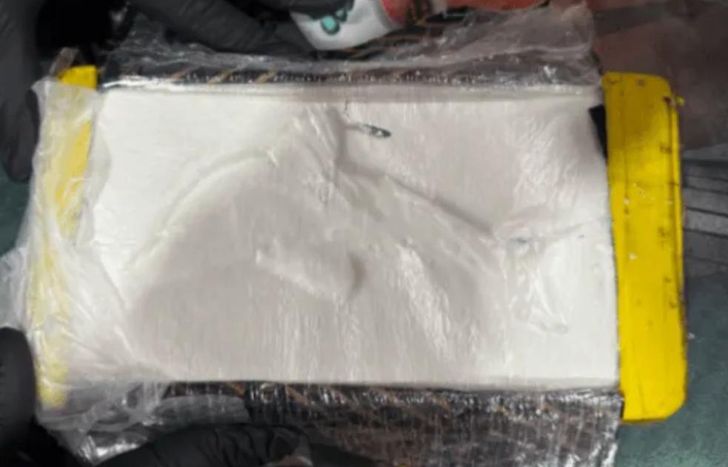 Un ladrillo de cocaína con el sello del delfín.