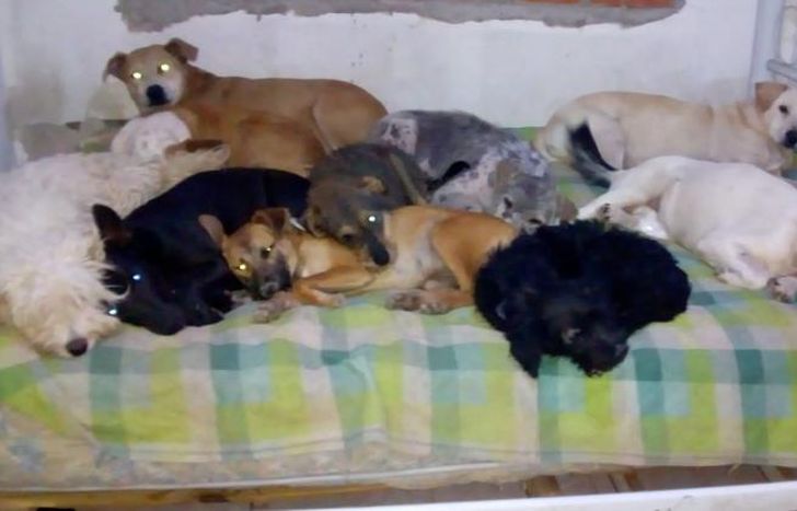 Necesitan un espacio para mudarse.