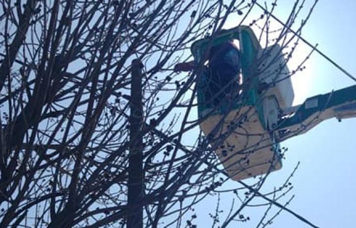 Defensa Civil Lomas intervino para aislar el cable y colocarlo en altura.