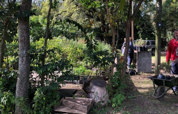 Emajea destina parte de su producción para las escuelas.