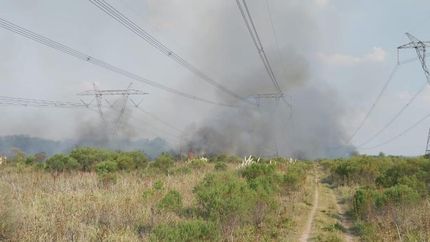 El incendio, ayer, desde lejos.