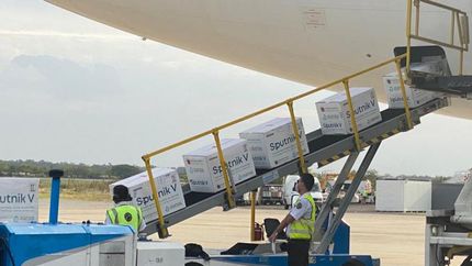 Nueva partida de la vacuna rusa, en el país.