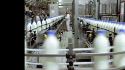 Cayó la producción alimenticia