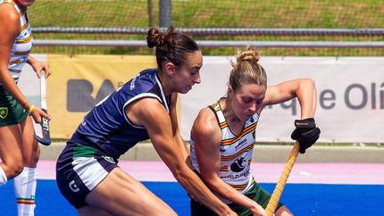 En Damas, Lomas Athletic buscará destronar a San Fernando. En Damas, Lomas Athletic buscará destronar a San Fernando.