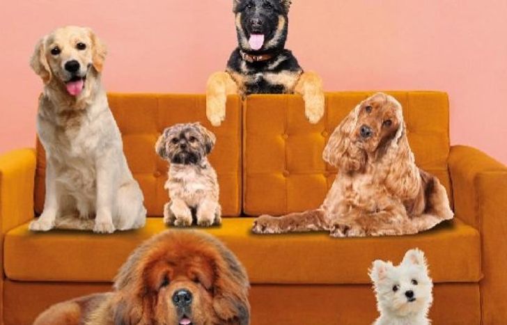 Se verá en Mar del Plata.