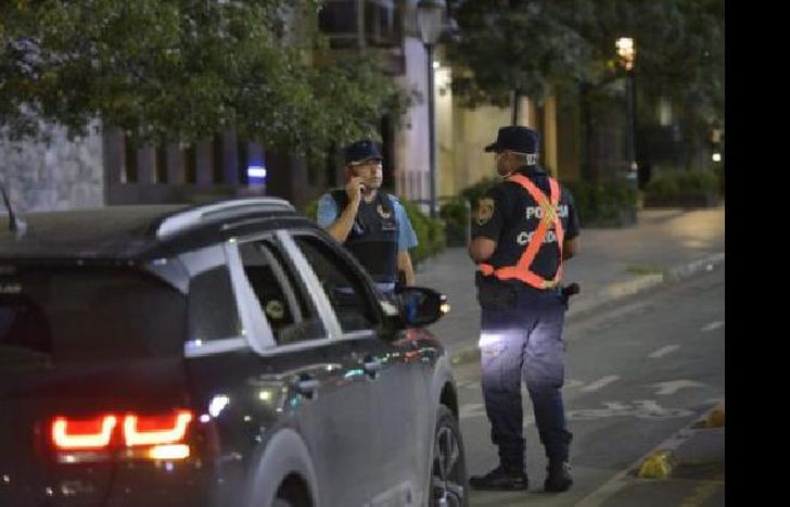 Tareas a cargo de la Policía Federal, Gendarmería Nacional, Prefectura Naval y Policía de Seguridad Aeroportuaria (PSA).