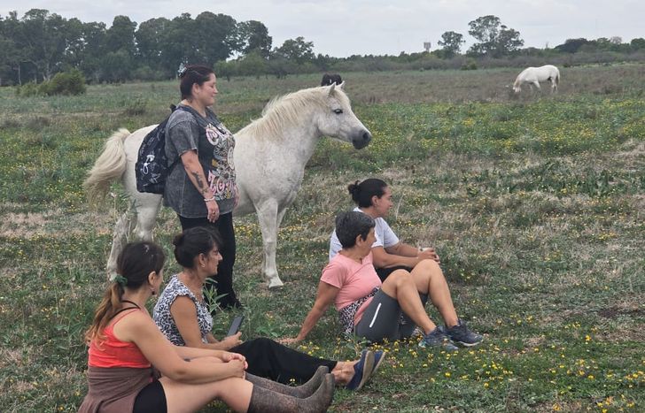 En el refugio viven decenas de caballos: todos ellos tienen una segunda oportunidad de vida tras haber sufrido maltrato animal.