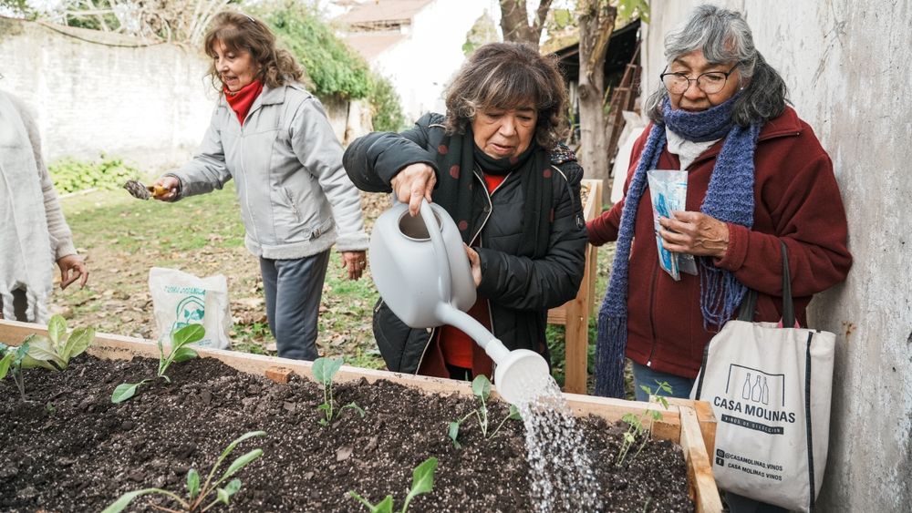 Se crean huertas en instituciones para producir alimentos saludables.