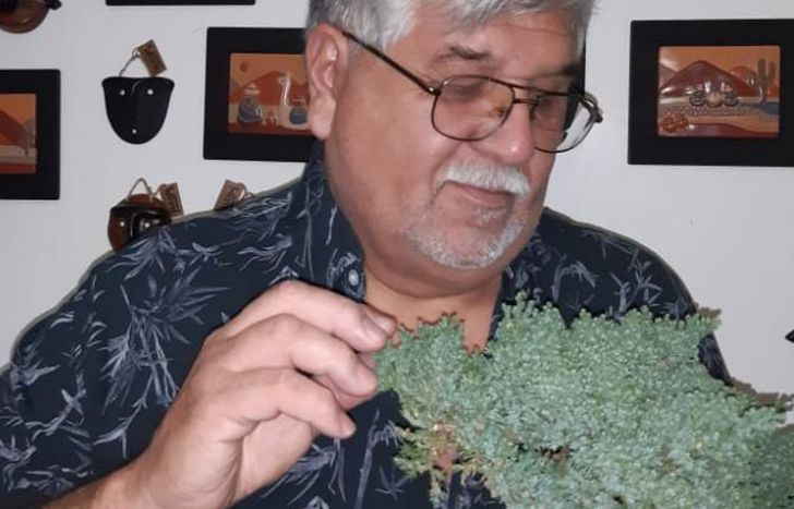 EL OMBÚ ES LO MÁS PEDIDO, PORQUE REPRESENTA A LA FAMILIA.