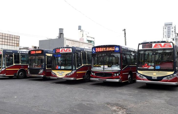 En la actualidad, la empresa posee 153 coches habilitados para circular.