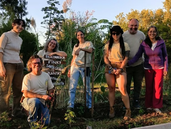 Plantas nativas en Turdera: convocan a otra jornada de germinación en el Parque Finky.