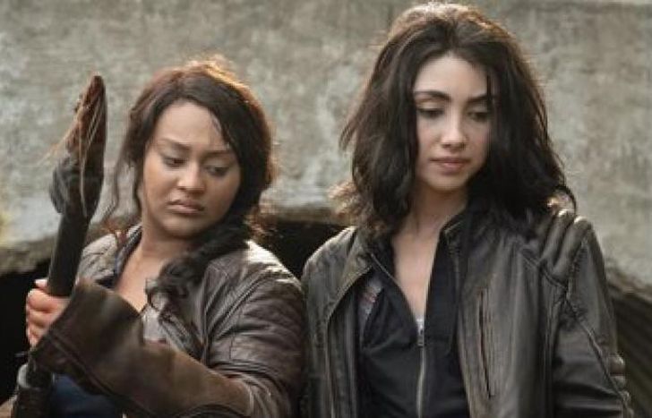 Últimos capítulos.