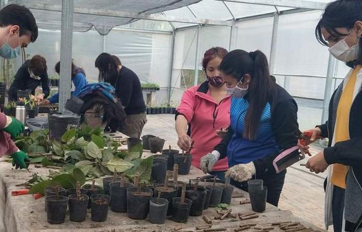 La cursada teórico-práctica será presencial y semanal.