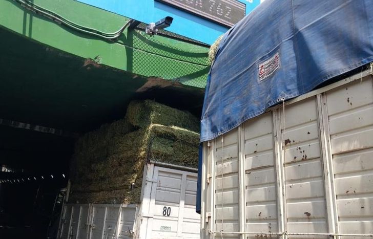 El camión no pudo cruzar el túnel.