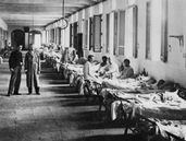 La epidemia de fiebre amarilla cambió la fisonomía de Lomas de Zamora.