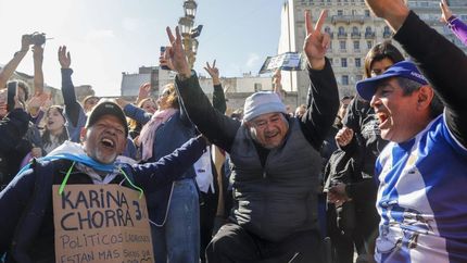 historico: el senado rechazo el veto de milei en discapacidad
