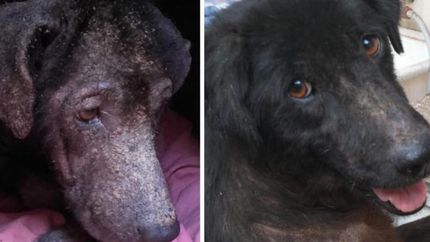 El antes y el después de Dulce que salió adelante. El antes y el después de Dulce que salió adelante.