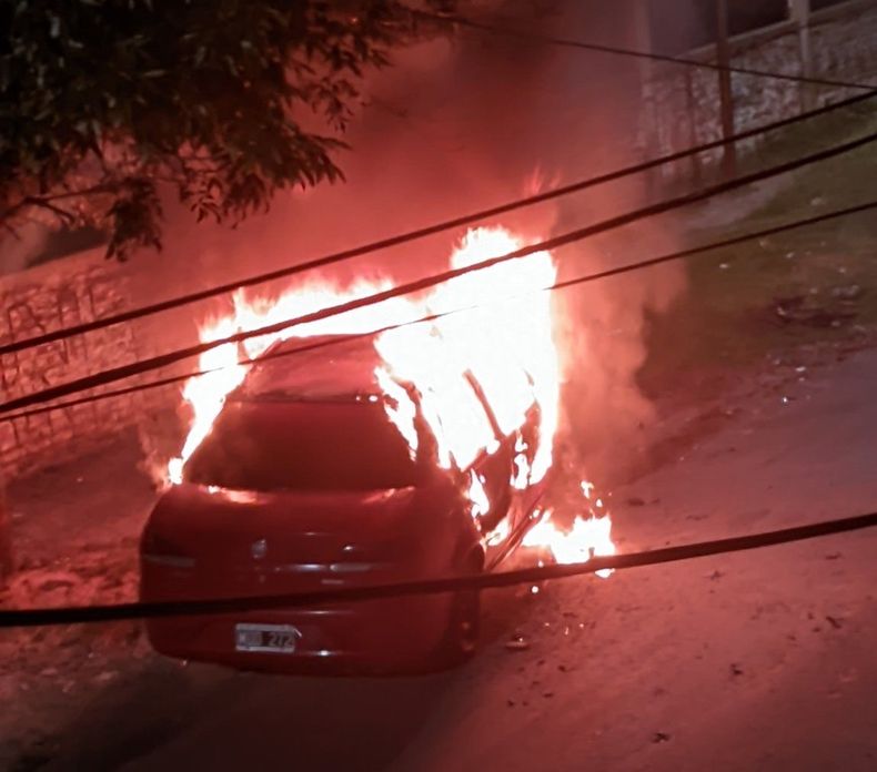 El incendio asustó a los vecinos de Ingeniero Budge.