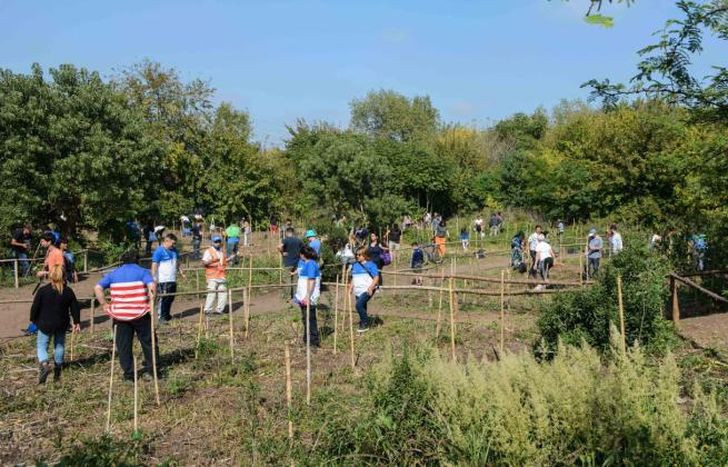 En abril plantaron 500 árboles en una jornada inédita.