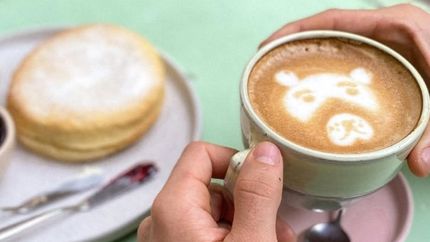 descuentos y promos: 60 cafeterias de lomas celebraran al dia del cafe