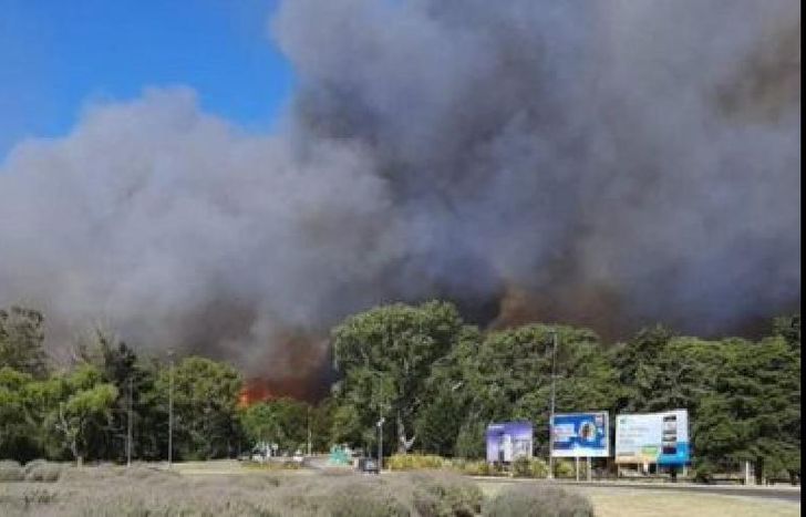 El humo se acercó a la playa.