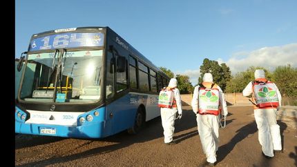 hay preocupacion por la propagacion de casos de covid en la linea de colectivos 164