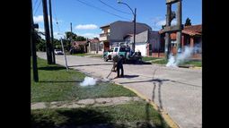 el personal fumigó en las bocas de tormenta.