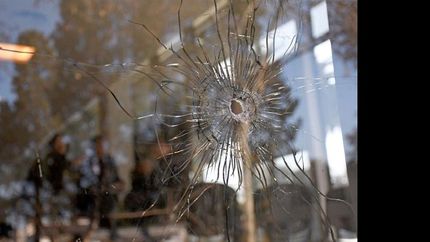 balearon el juzgado donde condenaron a los monos