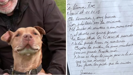 La historia de Zoe conmueve a todo Monte Grande donde tratan de localizar al jubilado que dejó a su perra en El Campito Refugio.&nbsp;