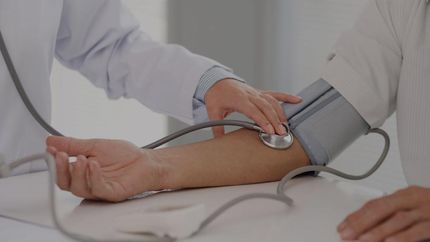 Desde esta semana totalmente gratis en La Haya 843, entre Unamuno y Milán.