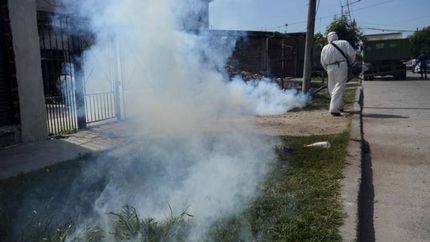 Siguen intensificando las fumigaciones.