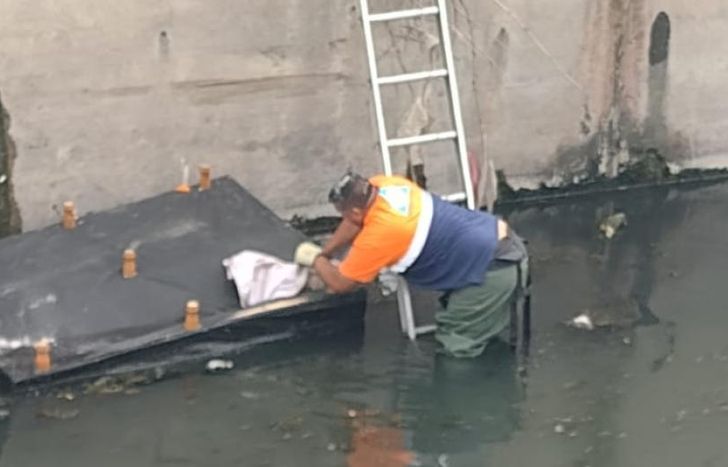 Defensa Civil de Lomas intervino para rescatar al animal.