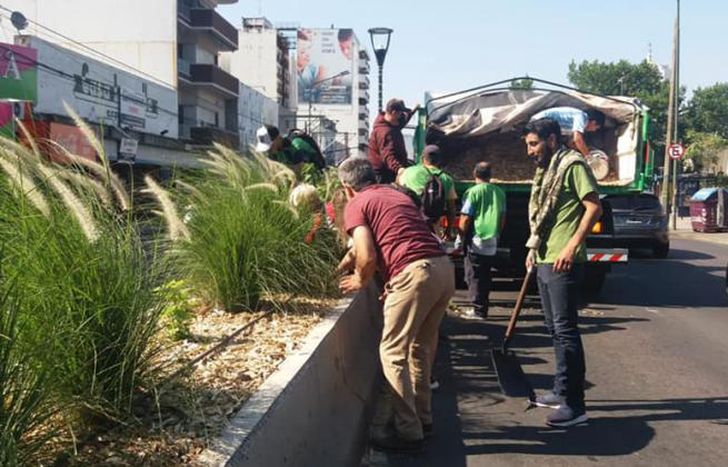 Las acciones forman parte del Plan de Forestación.
