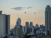 Mejora el clima. Por estos días parecen haber quedado atrás las lluvias.