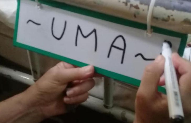 Para que cada chico sea identificado en la sala de internación del Gandulfo.