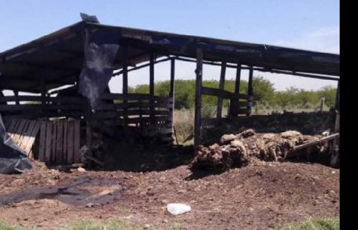 Trabajaban en situación de vulnerabilidad.