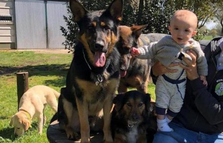 Los hermanos Arancedo disfrutan de su trabajo con los perros.