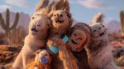 Regresa La Llama que Llama.&nbsp;