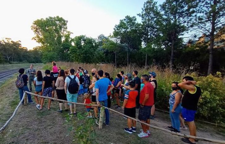 Habrá caminatas guiadas por el casco y los parques históricos.
