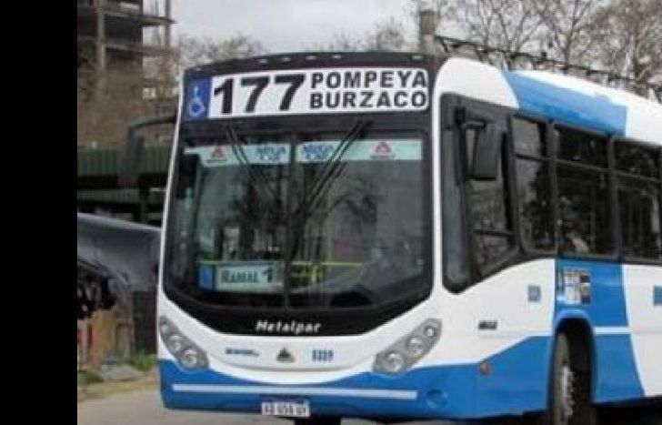 El chofer manejaba la línea 177 cuando fue atacado.