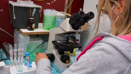 En los picos de la pandemia, la positividad llegó al 90%.