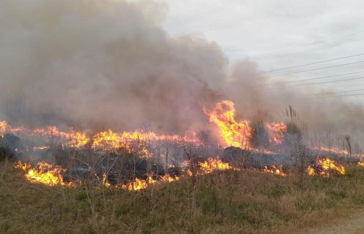 Una importante superficie quedó consumida por las llamas.
