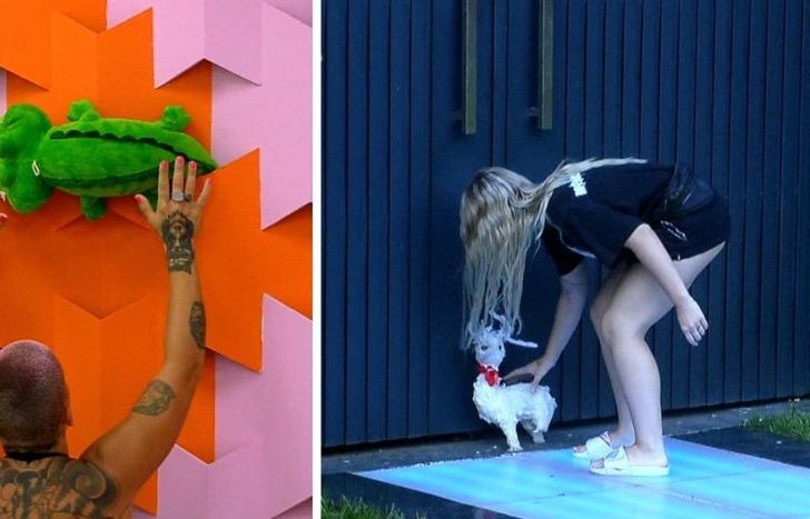 Duelo de peluches en Gran Hermano.