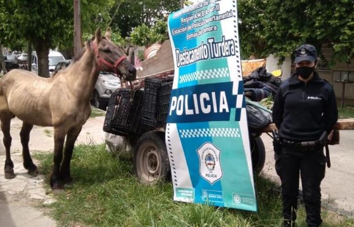 Lograron rescatarlo.