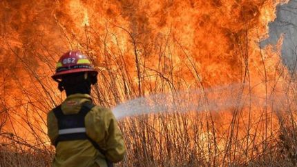Incendio en Corrientes.