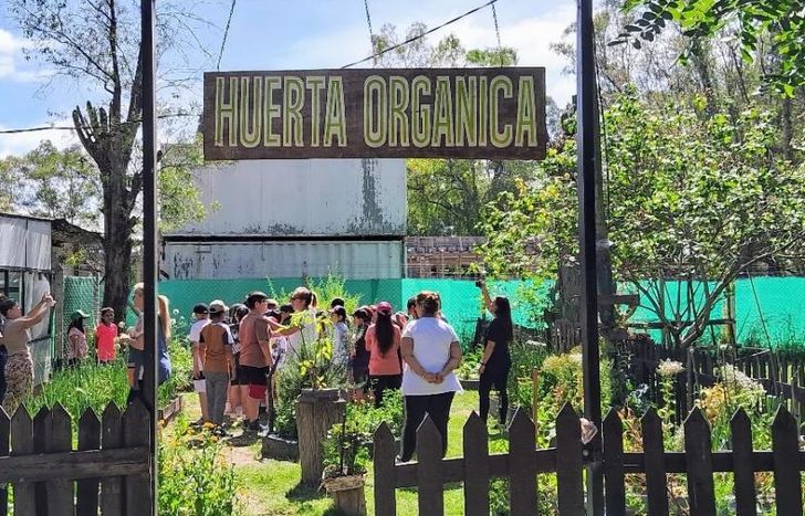 Estudiantes recorren la huerta y aprenden sobre producción de alimentos.