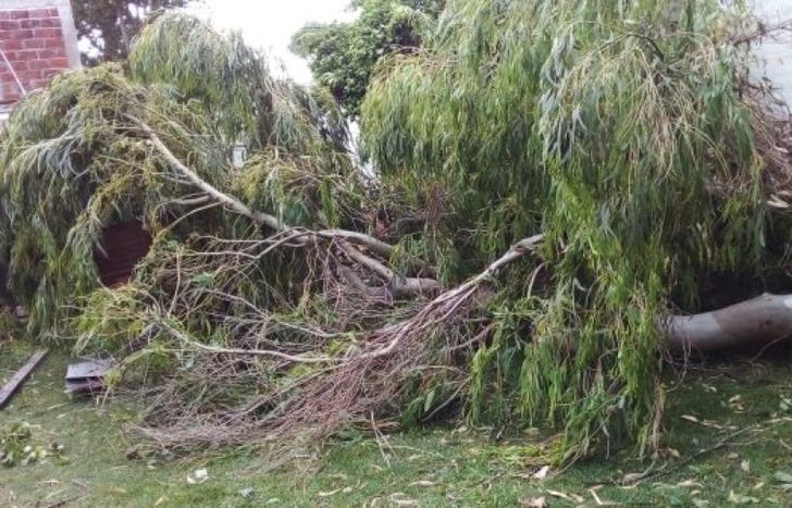 Darán beneficios a damnificados por el temporal en provincia de Buenos Aires.