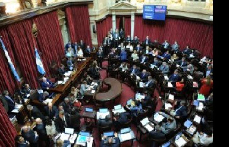 senado